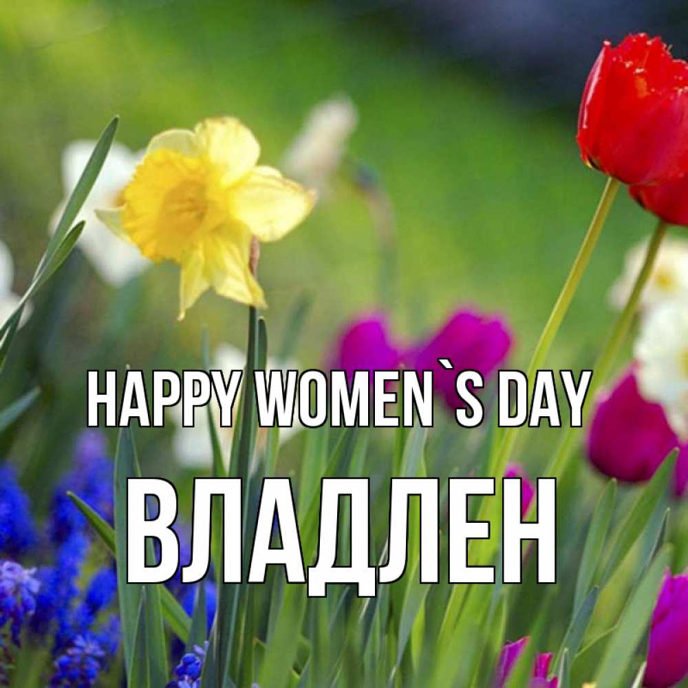 Greetings card с именем, Владлен happy women`s day международный женский день 3 Greetings with text for free download 